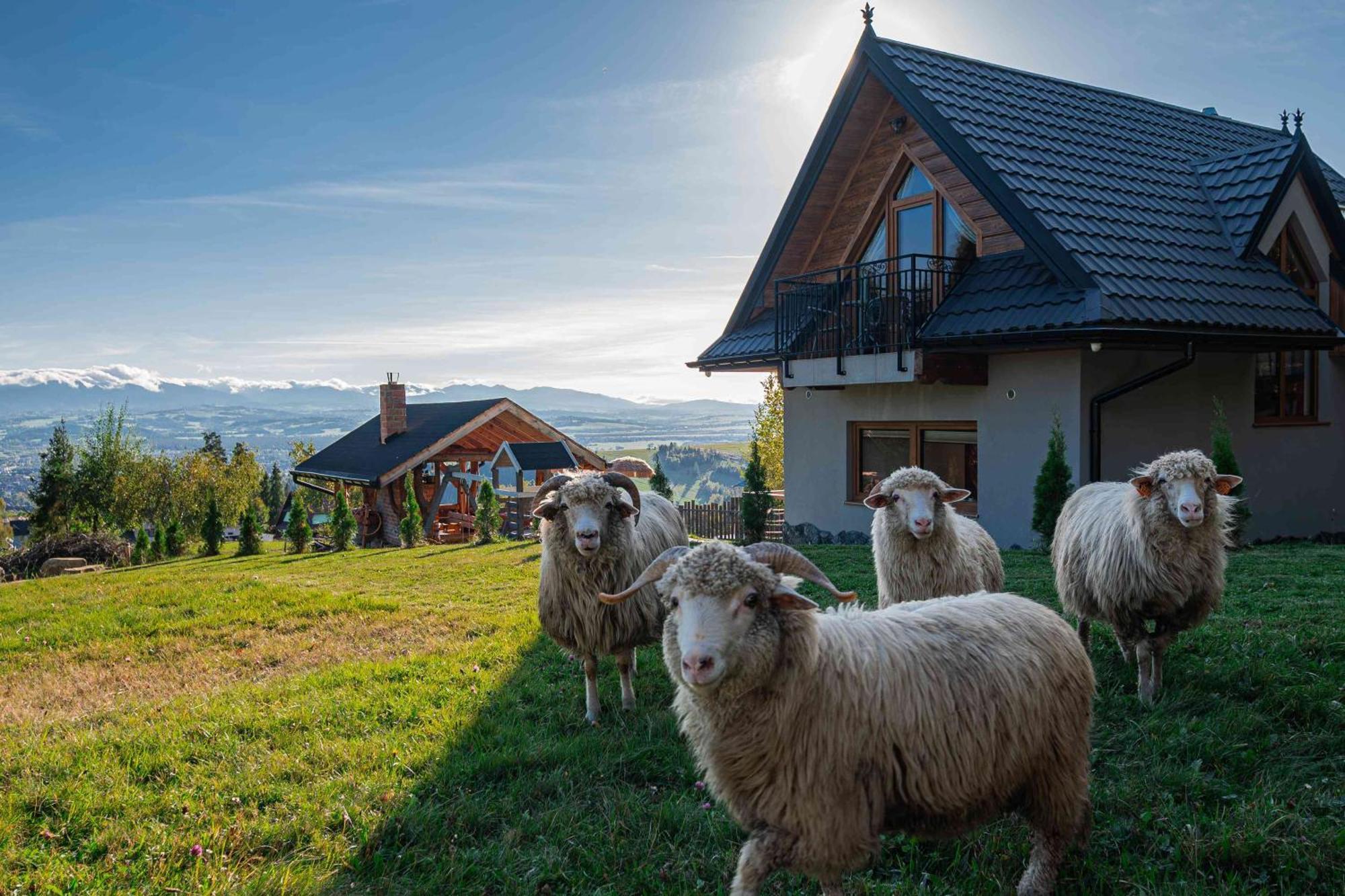 Villa Lesne Zacisze Nowy Targ Exterior foto